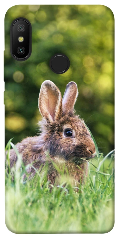 Чохол на Xiaomi Mi A2 Lite / Xiaomi Redmi 6 Pro Кролики фото 1 з 1