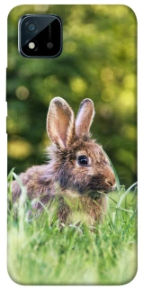 Чехол на Realme C11 (2021) Кролики фото 1 из 1