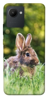Чехол на Realme C30 Кролики фото 1 из 1