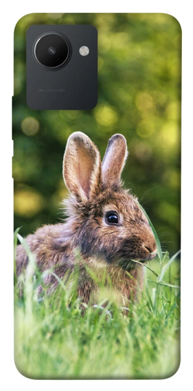 Чехол на Realme C30s Кролики фото 1 из 1