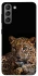 Чехол на Samsung Galaxy S21 Leopard v4 фото 1 из 1