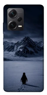 Чехол на Xiaomi Redmi Note 12 Pro 5G But why? фото 1 из 1