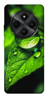 Чохол на Xiaomi Redmi A3 Pro Flowers v16 фото 1 з 1