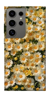 Чехол на Samsung Galaxy S24 Ultra Camomile фото 1 из 1