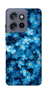 Чохол на Motorola Edge 50 Neo Flowers v6 фото 1 з 1