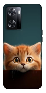 Чохол на OnePlus Nord N20 SE Чохол Кошеня фото 1 з 1