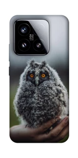 Чехол на Xiaomi 15 Совёнок фото 1 из 1