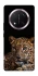Чехол на Honor X9c Leopard v4 фото 1 из 1