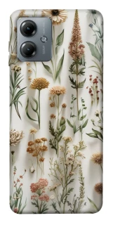 Чохол на Motorola Moto G14 Floral design ver.2 фото 1 з 1