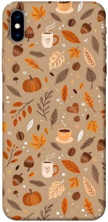 Чохол на Apple iPhone XS Max (6.5") Autumn vibes ver.6 фото 1 з 1