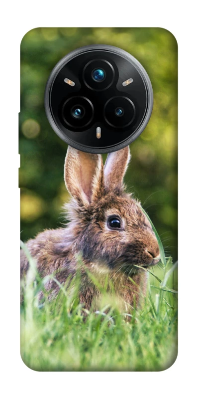 Чехол на Realme 14 Pro Кролики фото 1 из 1
