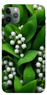 Чехол на Apple iPhone 11 Pro Max (6.5") Flowers v24 фото 1 из 1