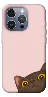 Чохол на Apple iPhone 16 Pro Max Peeping cat фото 1 з 1