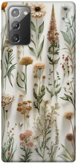 Чехол на Samsung Galaxy Note 20 Floral design ver.2 фото 1 из 1