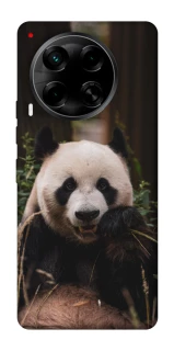 Чехол на TECNO Camon 30 (CL6) Панда фото 1 из 1