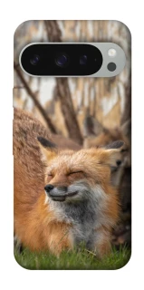 Чехол на Google Pixel 10 Pro XL Лиса фото 1 из 1