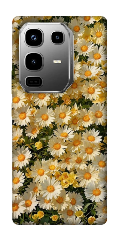 Чехол на Infinix Note 50 Pro Camomile фото 1 из 1