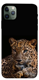 Чехол на Apple iPhone 11 Pro Max (6.5") Leopard v4 фото 1 из 1
