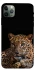 Чохол на Apple iPhone 11 Pro Max (6.5") Leopard v4 фото 1 з 1