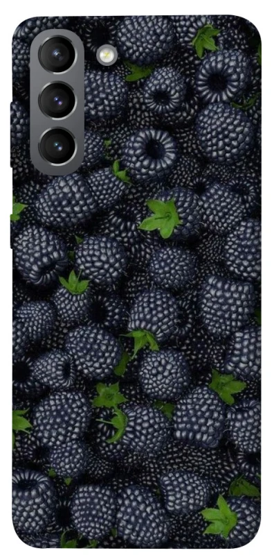 Чехол на Samsung Galaxy S21 Fresh фото 1 из 1