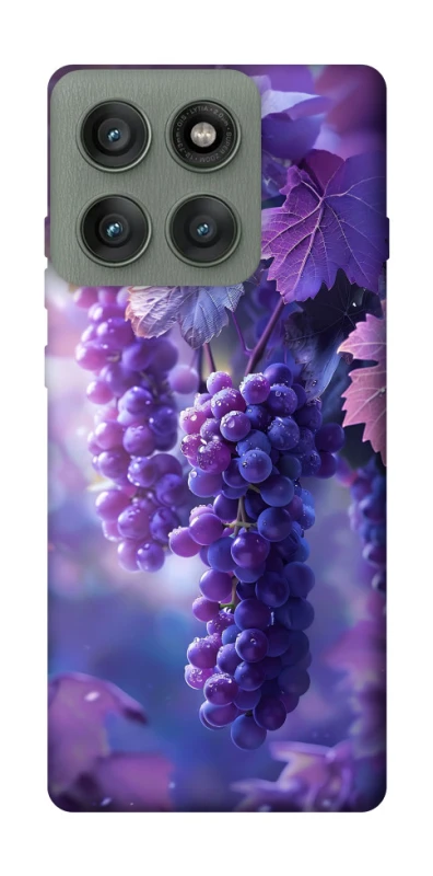 Чехол на Motorola Edge 60 Pro Bunch of grapes фото 1 из 1