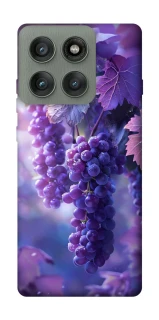 Чехол на Motorola Edge 60 Pro Bunch of grapes фото 1 из 1