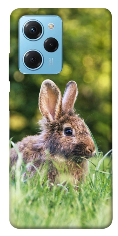 Чехол на Xiaomi Poco X5 Pro 5G Кролики фото 1 из 1