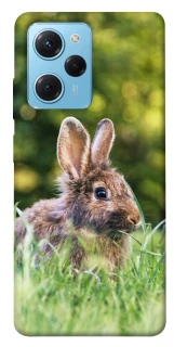 Чехол на Xiaomi Poco X5 Pro 5G Кролики фото 1 из 1