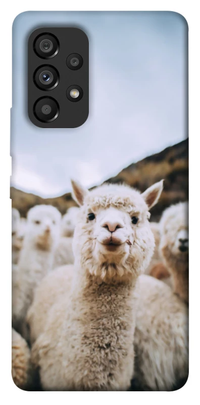 Чохол на Samsung Galaxy A53 5G Лама фото 1 з 1