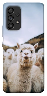 Чехол на Samsung Galaxy A53 5G Лама фото 1 из 1