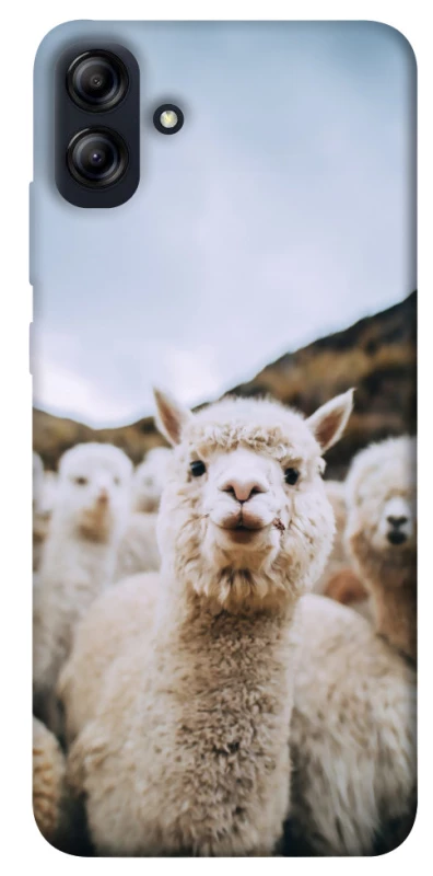 Чохол на Samsung Galaxy A04e Лама фото 1 з 1