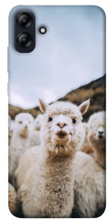 Чохол на Samsung Galaxy A04e Лама фото 1 з 1