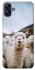 Чохол на Samsung Galaxy A04e Лама фото 1 з 1