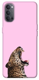 Чохол на Oppo Reno 4 Leopard Meow фото 1 з 1