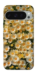 Чохол на Google Pixel 10 Pro XL Camomile фото 1 з 1