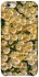 Чехол на Apple iPhone 6/6s (4.7") Camomile фото 1 из 1