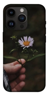 Чехол на Apple iPhone 14 Pro (6.1") Ромашка v4 фото 1 из 1