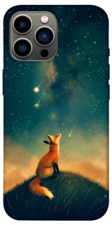 Чехол на Apple iPhone 12 Pro Max (6.7") Sky fox фото 1 из 1