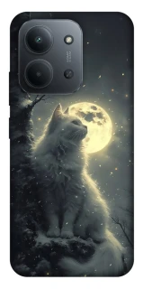 Чохол на Xiaomi Redmi 15C (EU) Кіт під місяцем фото 1 з 1