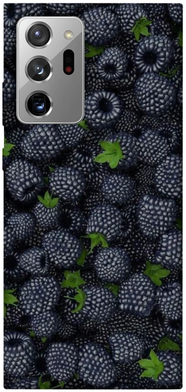 Чохол на Samsung Galaxy Note 20 Ultra Fresh фото 1 з 1