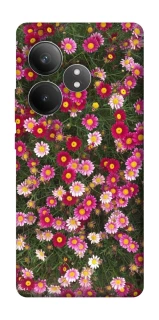 Чохол на Realme GT Neo 6 SE Flowers v8 фото 1 з 1