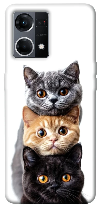 Чехол на Oppo Reno 7 4G Красивые котики фото 1 из 1