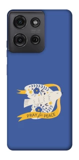 Чохол на Motorola Moto G75 Ластівка фото 1 з 1