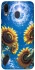 Чохол на Samsung Galaxy M20 Sunflowers фото 1 з 1