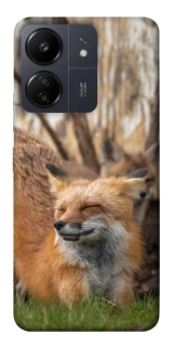 Чехол на Xiaomi Poco C65 Лиса фото 1 из 1