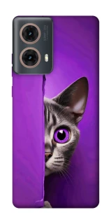 Чохол на Motorola Moto G85 Кіт-підглядач фото 1 з 1