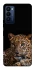 Чехол на TECNO Camon 18 Pro Leopard v4 фото 1 из 1