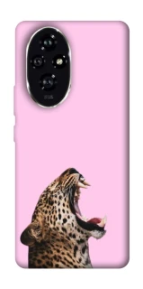 Чехол на Honor 200 Leopard Meow фото 1 из 1