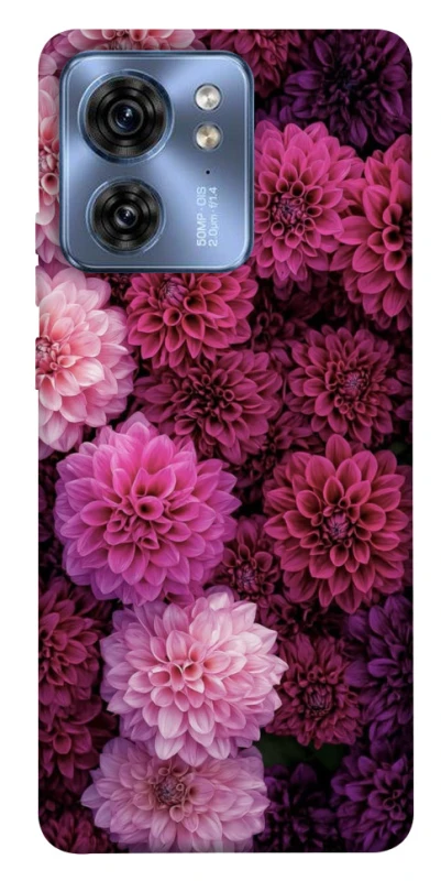 Чохол на Motorola Edge 40 Garden1 фото 1 з 1