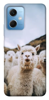 Чохол на Xiaomi Redmi Note 12 5G Лама фото 1 з 1